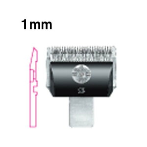 yzoJ ֐n Xs[fBN 1mm  SP-3 DSC-8 RpNg