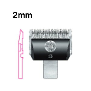 yzoJ ֐n Xs[fBN 2mm ֐n  SP-3 DSC-8 RpNg