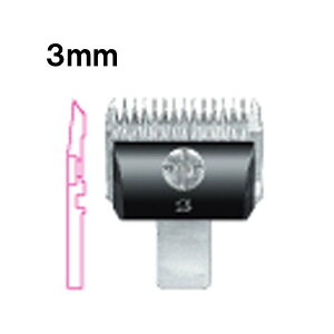 yzoJ ֐n Xs[fBN 3mm  SP-3 DSC-8 RpNg