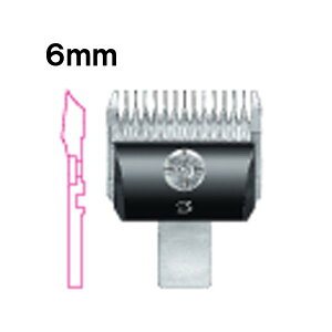 yzoJ ֐n Xs[fBN 6mm  SP-3 DSC-8 RpNg