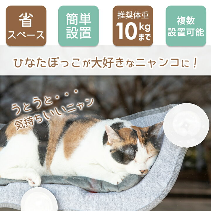 楽天市場 猫 窓用 ベッド ひなた ニャンコ さやえんどう 猫用 ウィンドウベッド 10kgまで ウインドウ 窓 ねこ ベット ハンモック キャットハンモック ネコ キャットベッド 窓貼付け 春 夏 秋 冬 猫窓 ねこまど 吸盤 フェルト 白吸盤 22bf Pet Select By