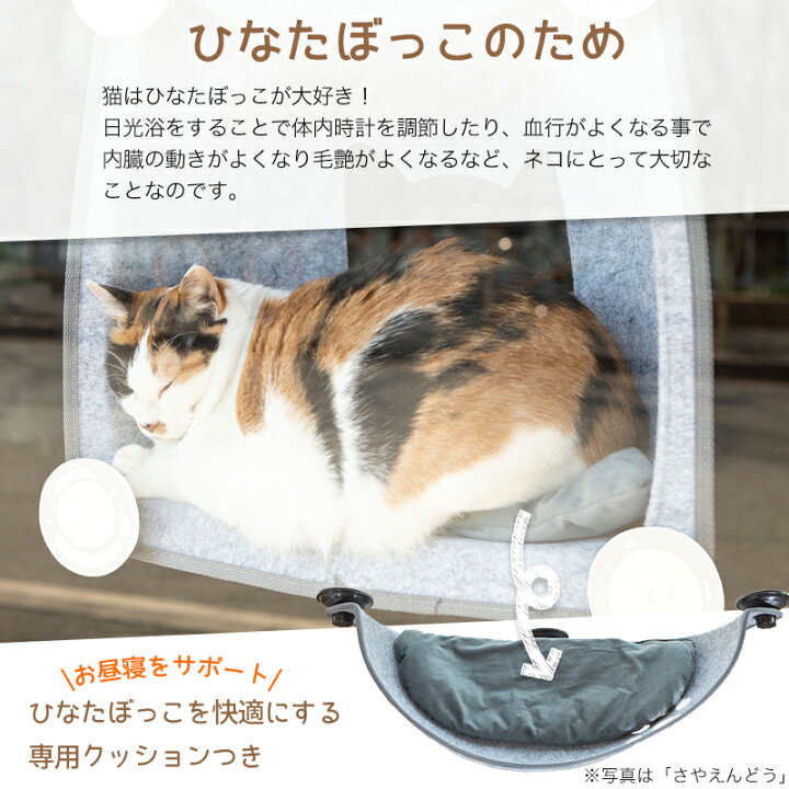 新しいブランド Petselect 猫 窓用 ベッド ひなた ニャンコ 猫用 ウィンドウベッド ウインドウ 窓 ねこ ベット キャットハンモック 白吸盤 Shipsctc Org