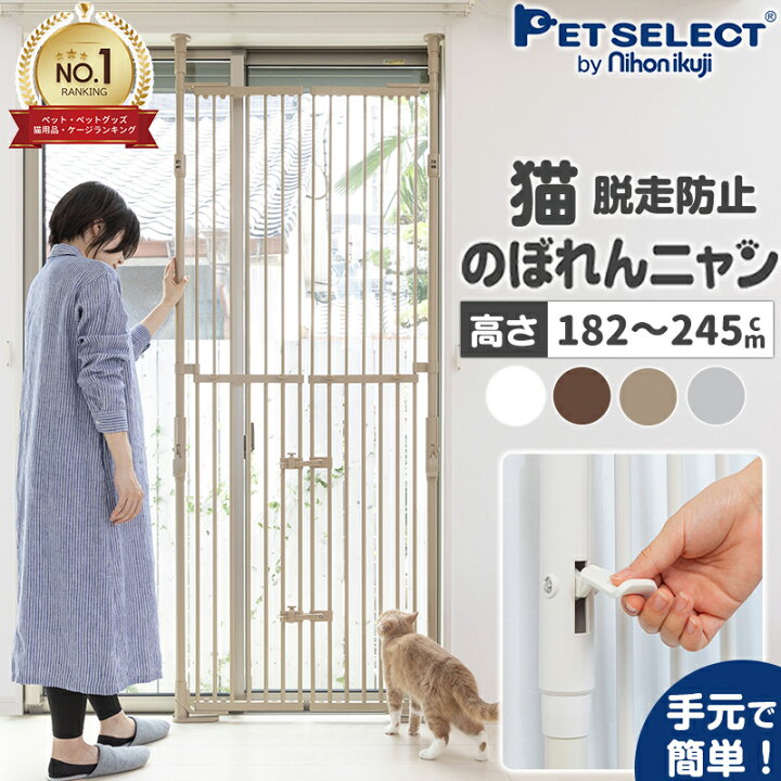 楽天市場】【感謝祭限定/1,000円OFFｸｰﾎﾟﾝ・P3倍】のぼれんニャン  