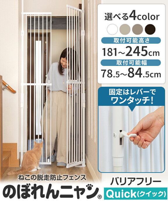 楽天市場】【1000円クーポン+P5倍・お買い物マラソン限定】のぼれん 
