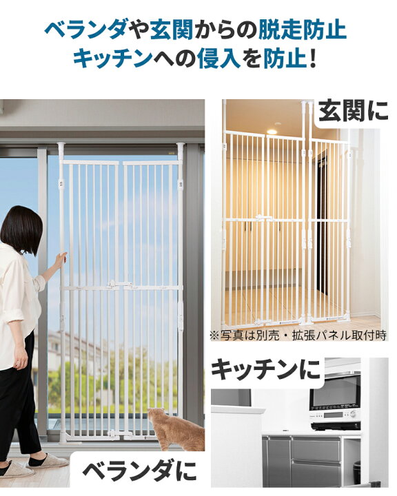 楽天市場】【1000円クーポン+P5倍・お買い物マラソン限定】のぼれん 