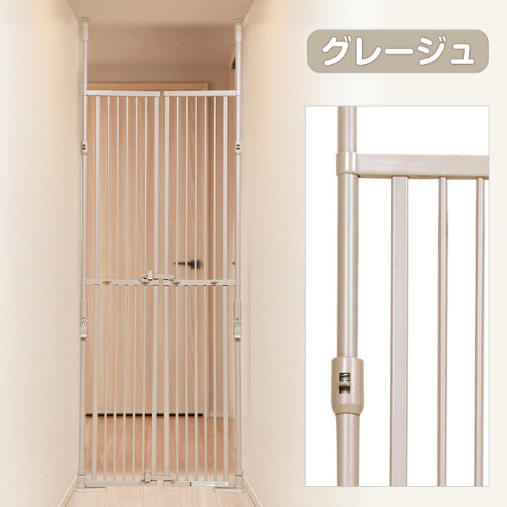 楽天市場】【1000円クーポン+P5倍・お買い物マラソン限定】のぼれん 