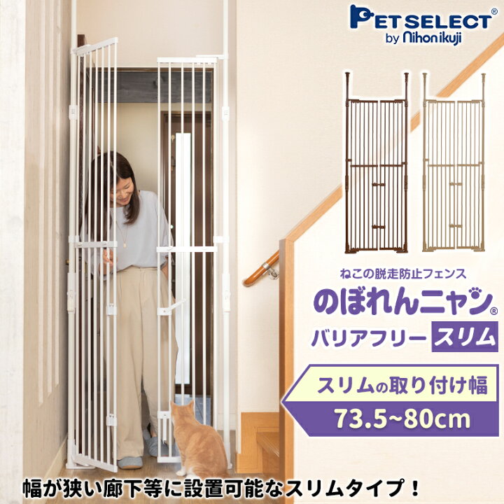 楽天市場】【最大350円OFFｸｰﾎﾟﾝ ※要事前取得】のぼれんニャン  