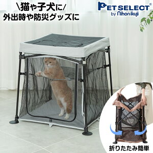 ߂Đ􂦂 Lbg T[N ܂肽 L P[W Q[W LbgP[W 2i nbN ˂ lR  ^ ybg ߂ t ^ ł A Lv AEghA