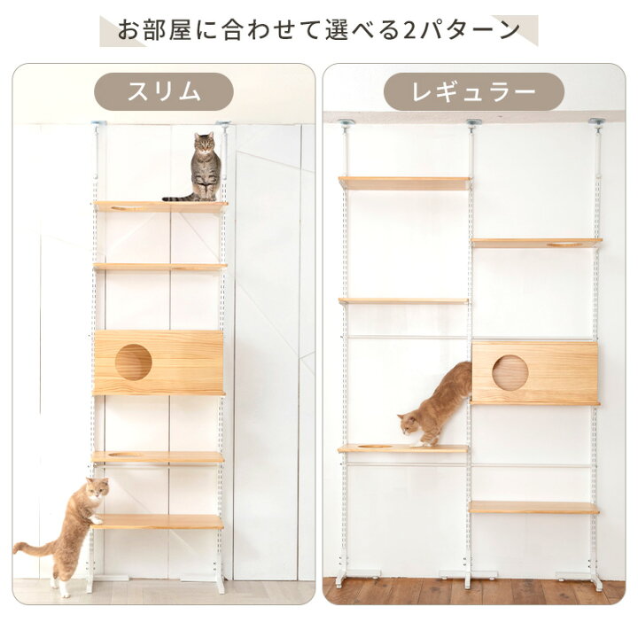 楽天市場】【ワンダフルデー限定 1000円クーポン+P3倍】キャットタワー  