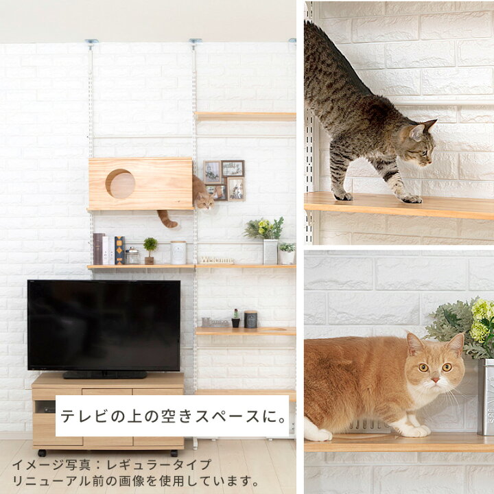 楽天市場】【ワンダフルデー限定 1000円クーポン+P3倍】キャットタワー  