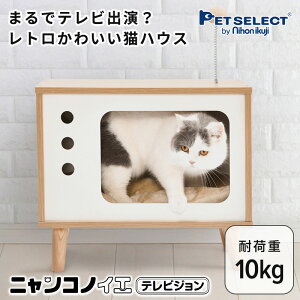 yubNtCf[ 2000~N[|zjRmCG (erW) L xbh ˂ LbgnEX lR ybg nEX ؐ er g   hbO ^  k Vv 