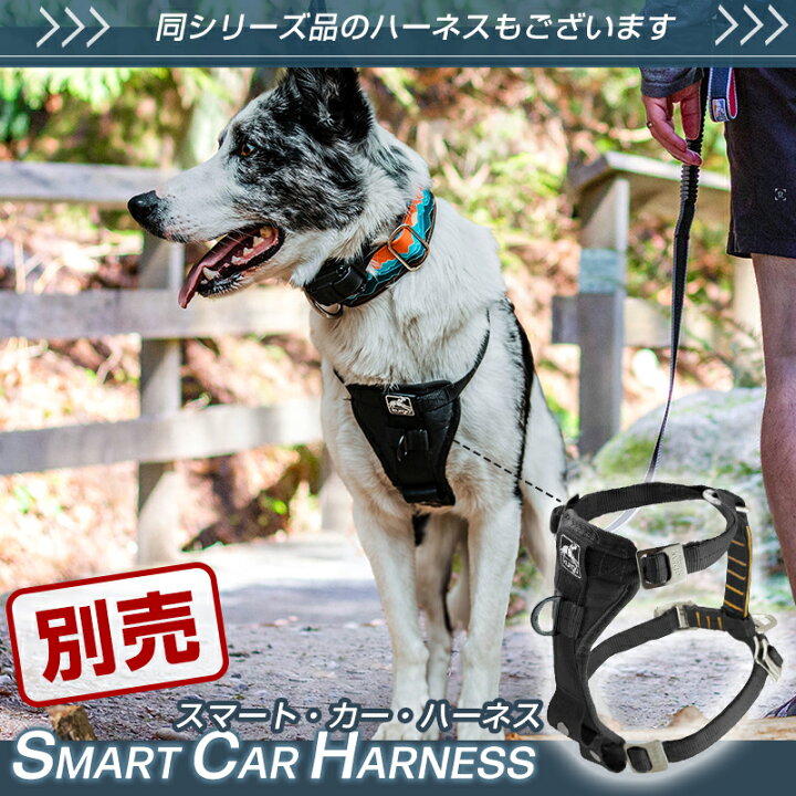 楽天市場】【ﾏﾗｿﾝ期間限定☆P5倍】スプリングリード Kurgo お散歩 