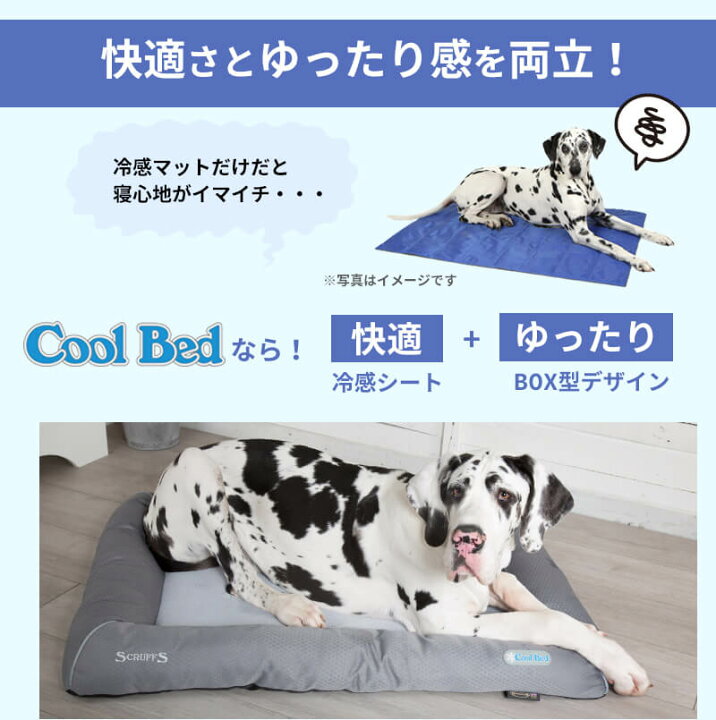 楽天市場 クール ベッド L ペット ベッド 冷却 ジェル ひんやり ブランド 犬 犬用 おしゃれ 洗える 洗濯 春 夏 猫 ペット用 カドラー マット クッション 通気性 ゆったり クールマット冷感マットマット涼感 冷感 熱中症対策 暑さ対策 Pet Select By Nihonikuji