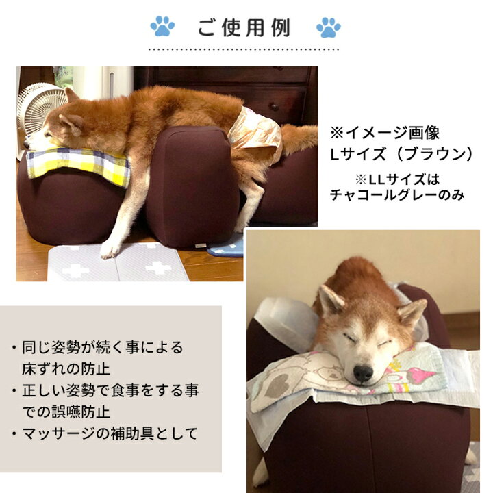 楽天市場】OneAid リラクッション ペット LLサイズ (チャコールグレー 