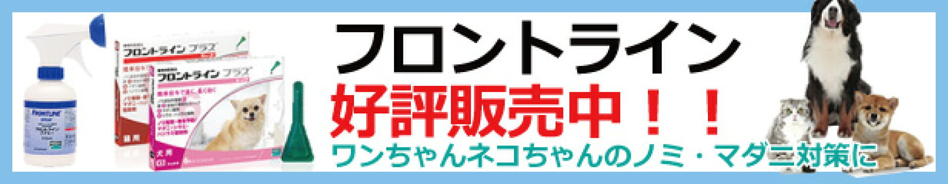 フロントライン