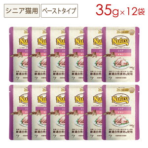 j[g fC[fBbV VjALp `L N[~[ȃy[Xg^Cv pE` 35g×12 NCW27