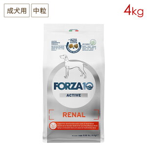 FORZA10 i[ ANeBu~fBA () 4.0kg p (ťNێ)(/5cƓȓɔ\)