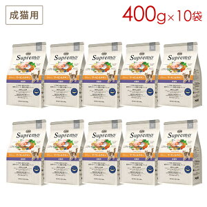 (10܃Zbg) j[g Vv Lp T[`L (400g×10) Ki NS508 (5`7cƓŔ\)