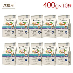 (10܃Zbg) j[g Vv Lp g`L (400g×10) Ki NS511 (5`7cƓŔ\)