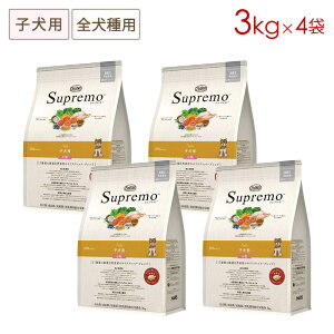 (4܃Zbg) j[g Vv qp Sp () [3kg×4] Ki NS103