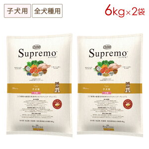 (2܃Zbg) j[g Vv qp Sp () [6kg×2] Ki NS104