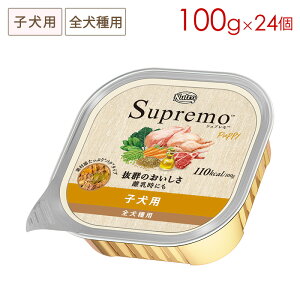 j[g Vv EFbg qp 100g×24 Ki SPW13