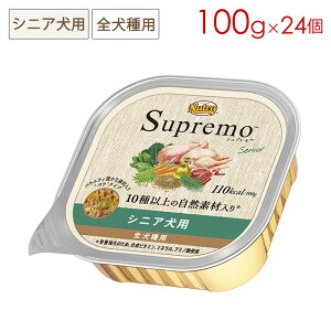 j[g Vv VjAp gC 100g×24 Ki SPW15