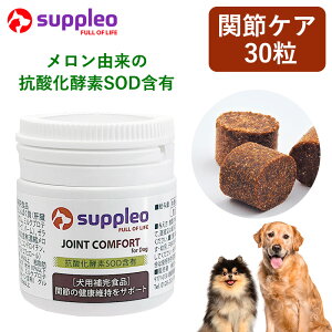 pTvg SUPPLEO(TvI) ֐ WCgRtH[g 0.55g×30  Tv SOD R_ ORT~ RhC` T|[g