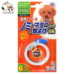 A[Xybg p m~E}_jƂ聕悯 qp 1R