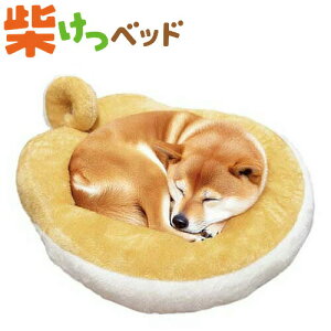 hM[}nV Ăxbh [H~]Lpxbh  ΍ 􂢉