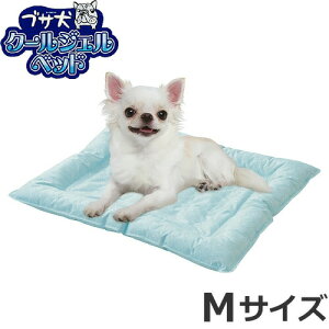 }J uTN[WFxbh MTCY[tČ] ėp ΍ ߓd Ђpi ڐG⊴ RۉH