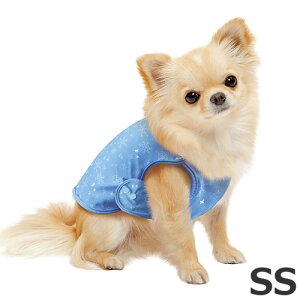 y[ցzhM[} UVJbgEFA SSTCY ^p [tČ] ėp ΍ Ђpi ڐG⊴