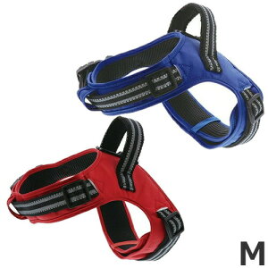 y[ցzyeBI un[lX MTCY u[/bh pn[lX  U o 