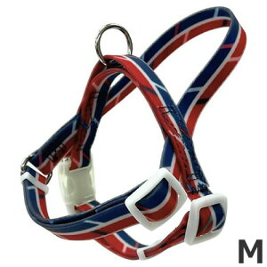 A[Xybg nh[ Cj[ M  h nht pn[lX U o