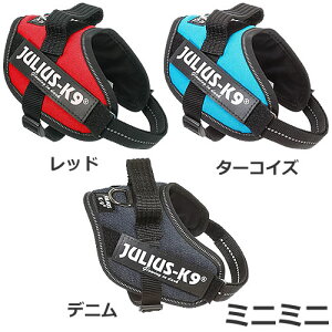 JULIUS-K9 EXP[iC IDCp[n[lX ~j~j bh/^[RCY/fj pn[lX [LOhbO ϋv ˔t