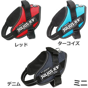 JULIUS-K9 EXP[iC IDCp[n[lX ~j bh/^[RCY/fj pn[lX [LOhbO ϋv ˔t