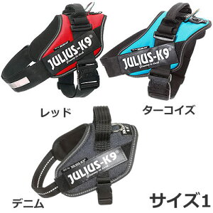 サイズ1 K9 ユリウス 犬用首輪の人気商品 通販 価格比較 価格 Com