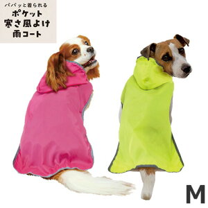 hM[}nV ChicchaI ppbƒ |Pbg悯JR[g MTCY sN/C pCR[g U