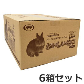 ★【今月のお買い得商品】6箱セット NPF アニマルファーム おいしい牧草 BOX 900g ×6箱セット ケース販売 チモシー うさぎ