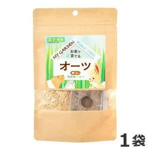 C[X^[ }CK[f q͔|Zbg I[c 1 H nX^[ q 