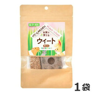 C[X^[ }CK[f q͔|Zbg EB[g 1 H nX^[ q 