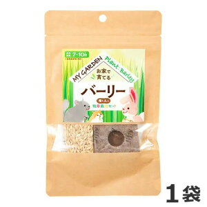 C[X^[ }CK[f q͔|Zbg o[[ 1 H nX^[ q 