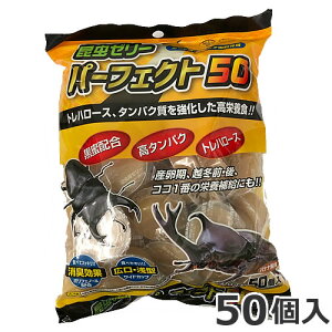 ~^j [[ p[tFNg 16g×50