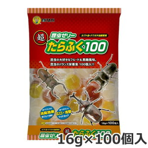 ~^j ӂ100 16g×100 t[h [[