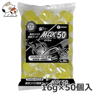ミタニ MAX50 16g×50個入 カブトムシ クワガタムシ 昆虫ゼリー
