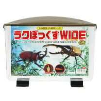 楽天市場】ヘラクレスオオカブト（昆虫ケース｜昆虫）：ペット・ペット 