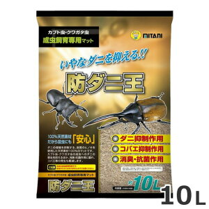 ~^j h_j 10L }bg p}bg h_j hL