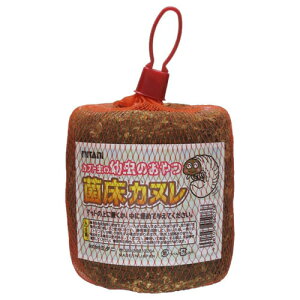 ~^j ۏJk pۏ Ԃƒ cp ̂ڂ M