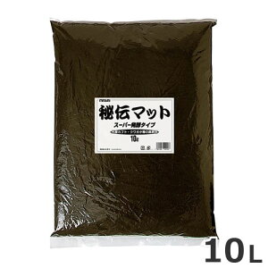 ~^j `}bg X[p[y^Cv 10L  }bg