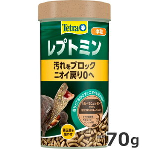 XyNguYWp Tetra vg~  70g Jp t[h